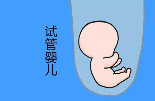 代生选性别包男孩